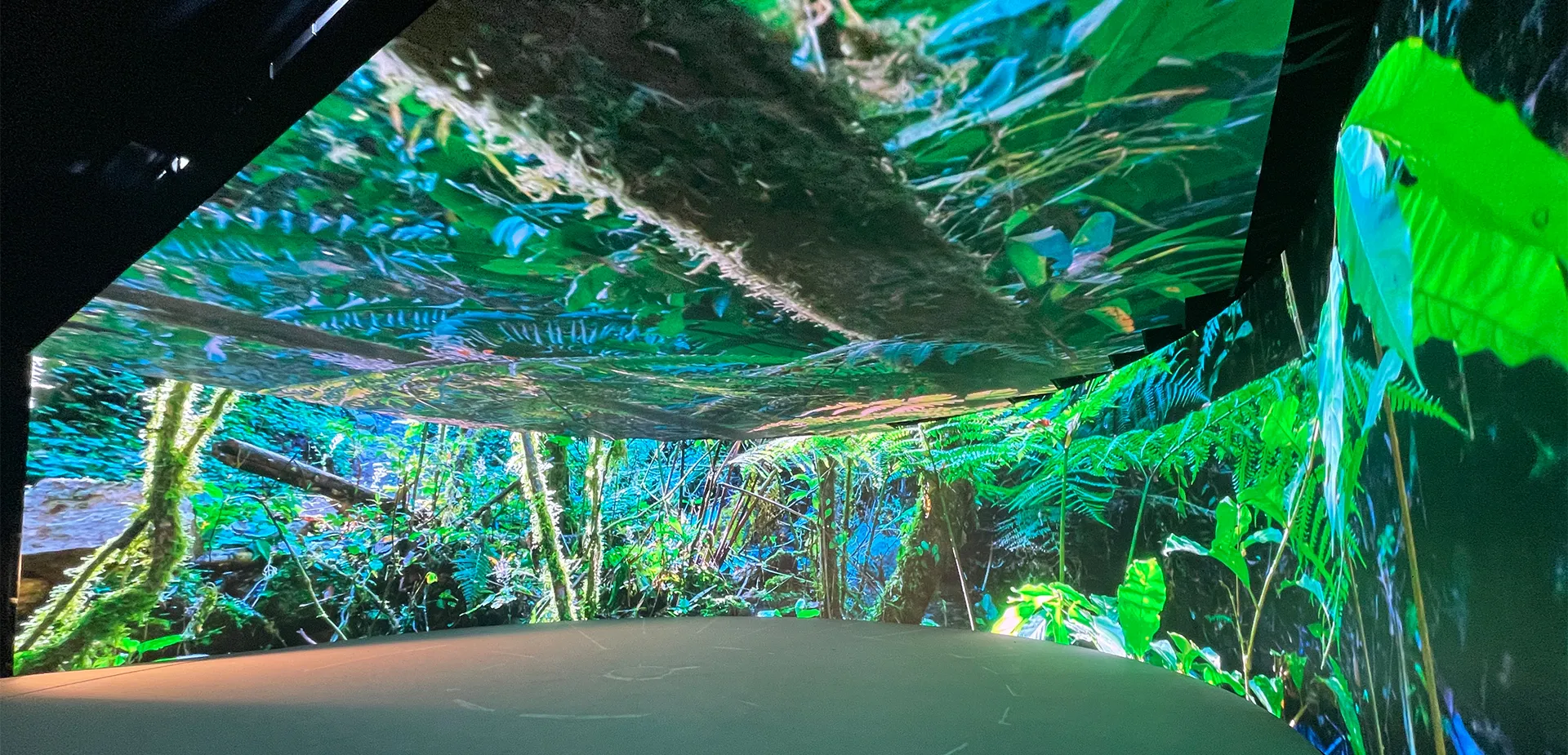 Orion EMN Digital Studios