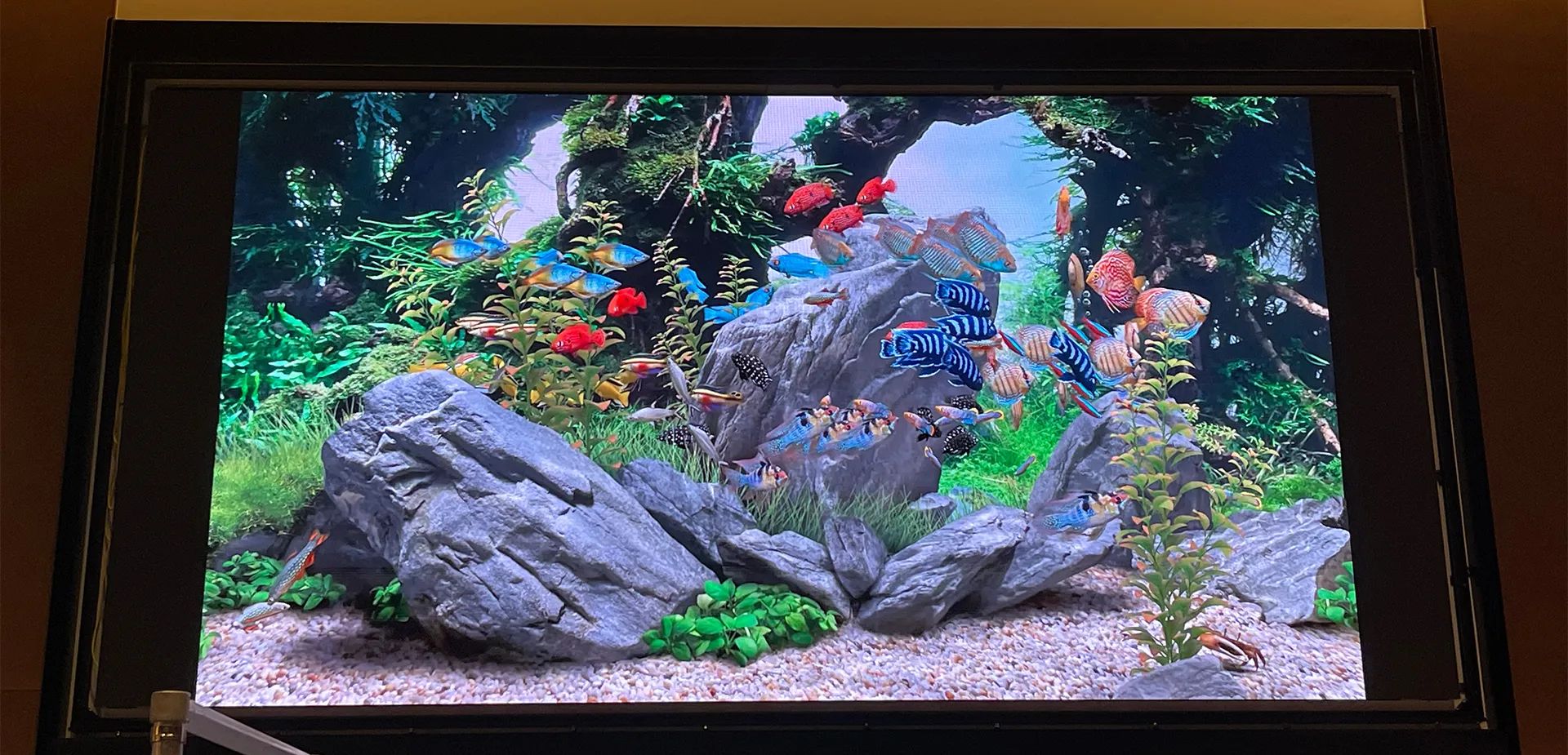 109 Cinemas Shinjuku